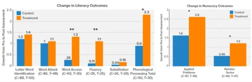 Literacy Outcomes